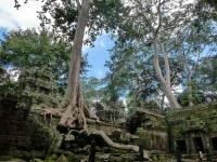 Huyền thoại Cambodia - Du lịch tết